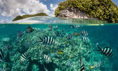 National Marine Sanctuary