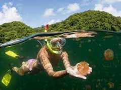 Jelly Fish Lake snorkeling