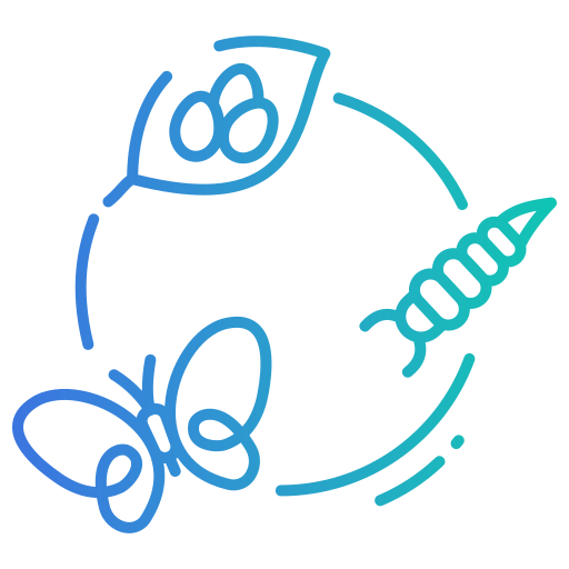 Transformation and Soulfulness