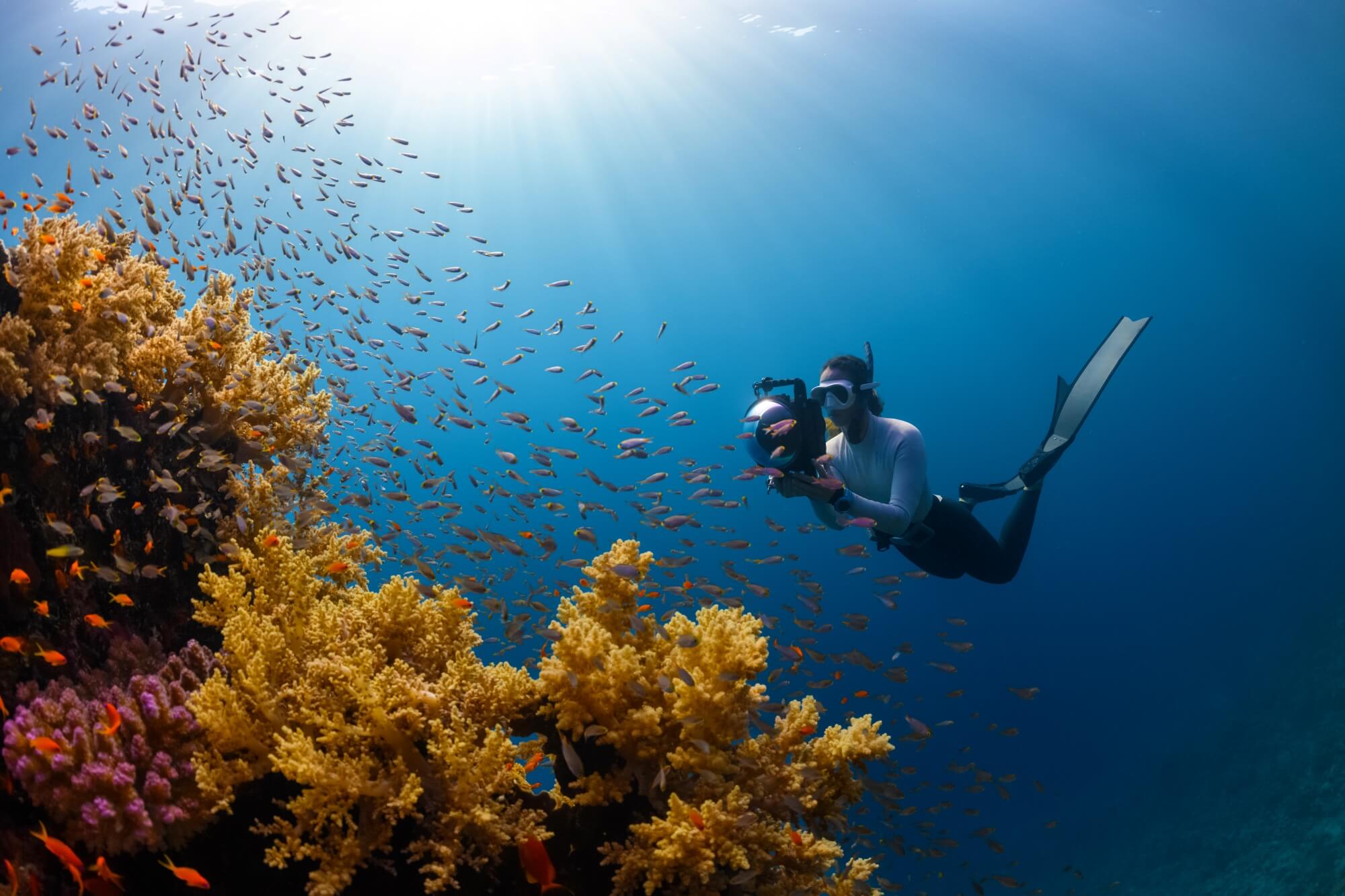 palau-experiences