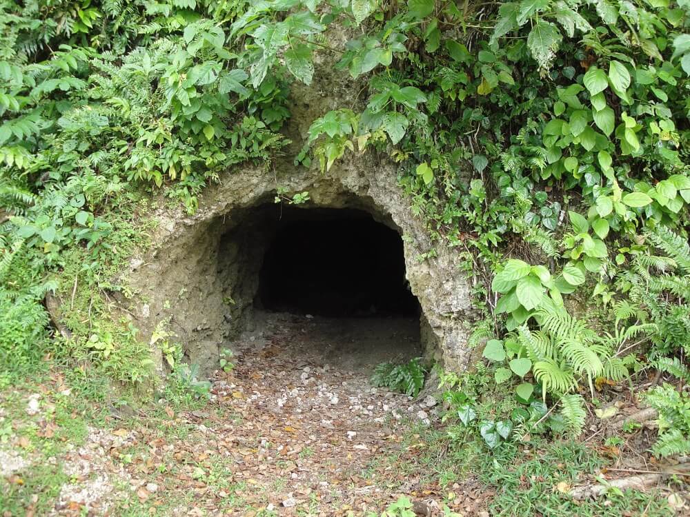 Thousand men cave at Peleliu